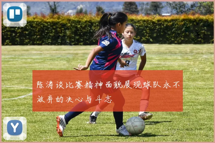 陈涛谈比赛精神面貌展现球队永不放弃的决心与斗志