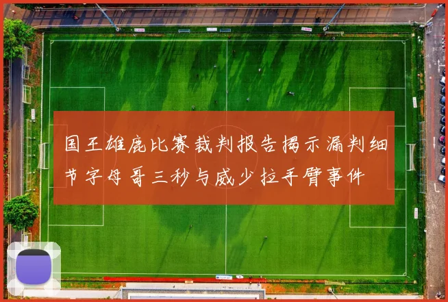 国王雄鹿比赛裁判报告揭示漏判细节字母哥三秒与威少拉手臂事件