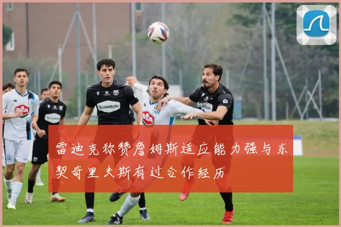 雷迪克称赞詹姆斯适应能力强与东契奇里夫斯有过合作经历
