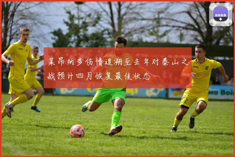 莱昂纳多伤情追溯至去年对泰山之战预计四月恢复最佳状态